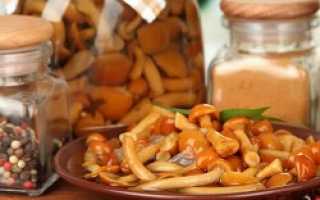 Как мариновать опята на зиму в банках — 8 самых вкусных рецептов
