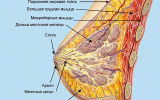Лактостаз у кормящей матери – как справиться с проблемой?